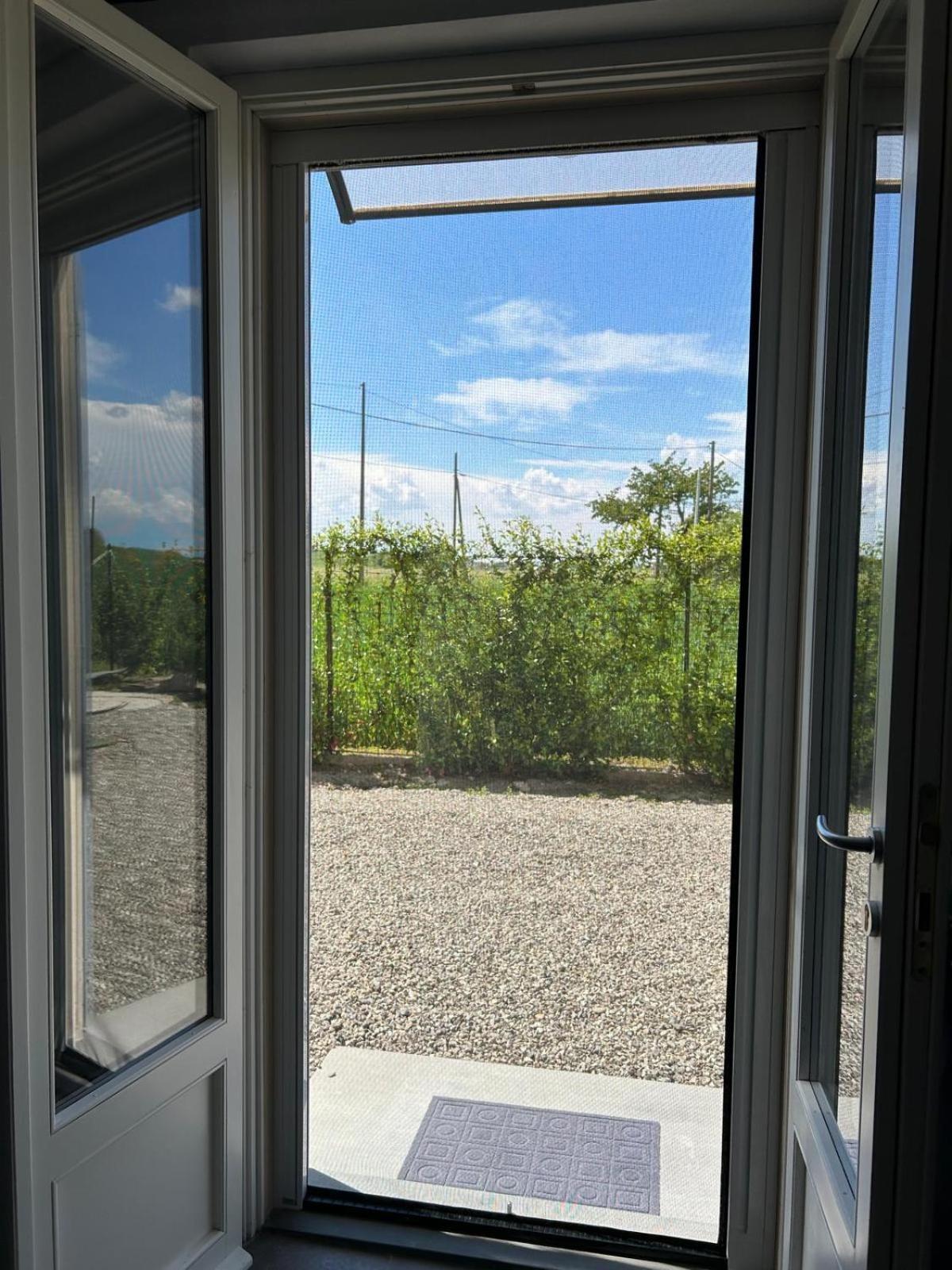 B&B Il Gelsomino Fontanelle di Roccabianca Exteriér fotografie